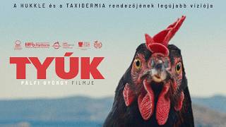 Tyúk