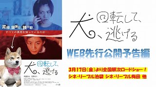 犬、回転して、逃げる előzetes