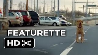 Fehér Isten előzetes
