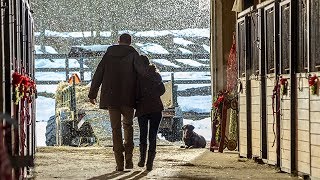 Home for Christmas Day előzetes