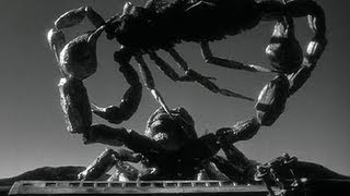 The Black Scorpion előzetes