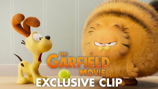 Garfield előzetes