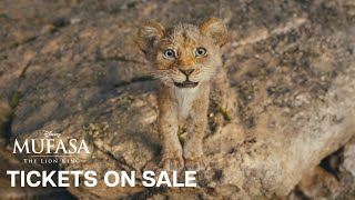 Mufasa: Az oroszlánkirály előzetes
