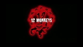 12 majom előzetes