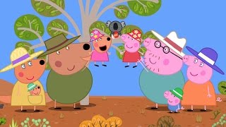Peppa malac előzetes