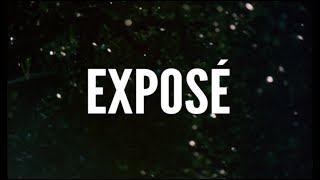 Exposé előzetes