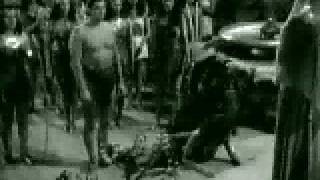 Tarzan és az amazonok előzetes