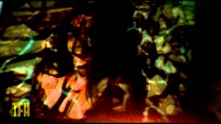 Monterey Pop előzetes
