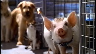 Babe 2 - Kismalac a nagyvárosban előzetes