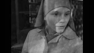 Ida előzetes