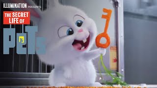 A kis kedvencek titkos élete előzetes