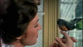 Mary Poppins előzetes