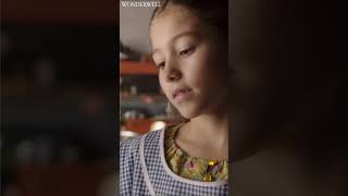 Wonderwell előzetes