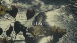 How About You... előzetes